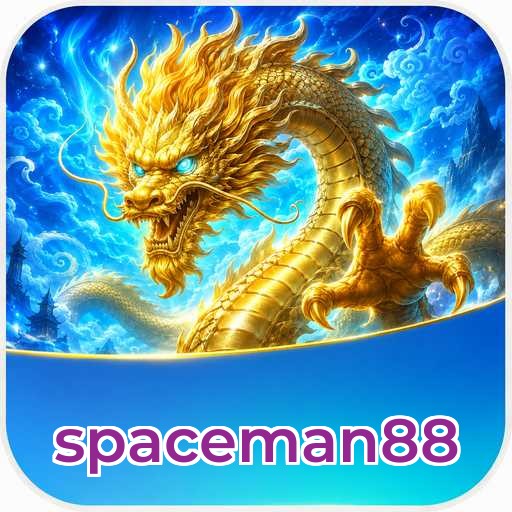 spaceman88 Technical Info