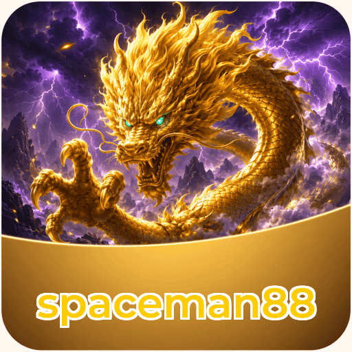 spaceman88 Technical Info